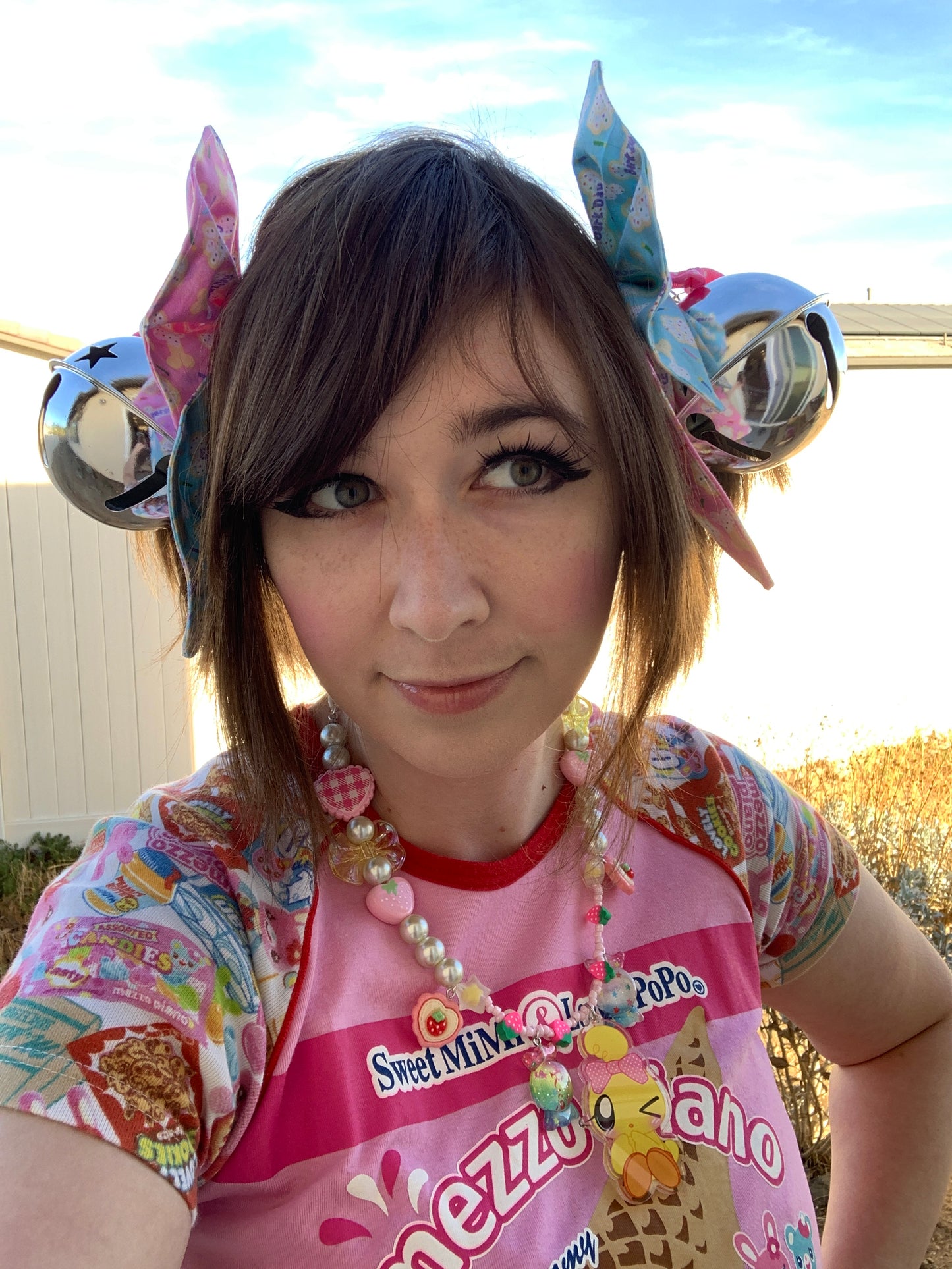 Puppy’s Special Barkday Giant Bell Twintail Clips