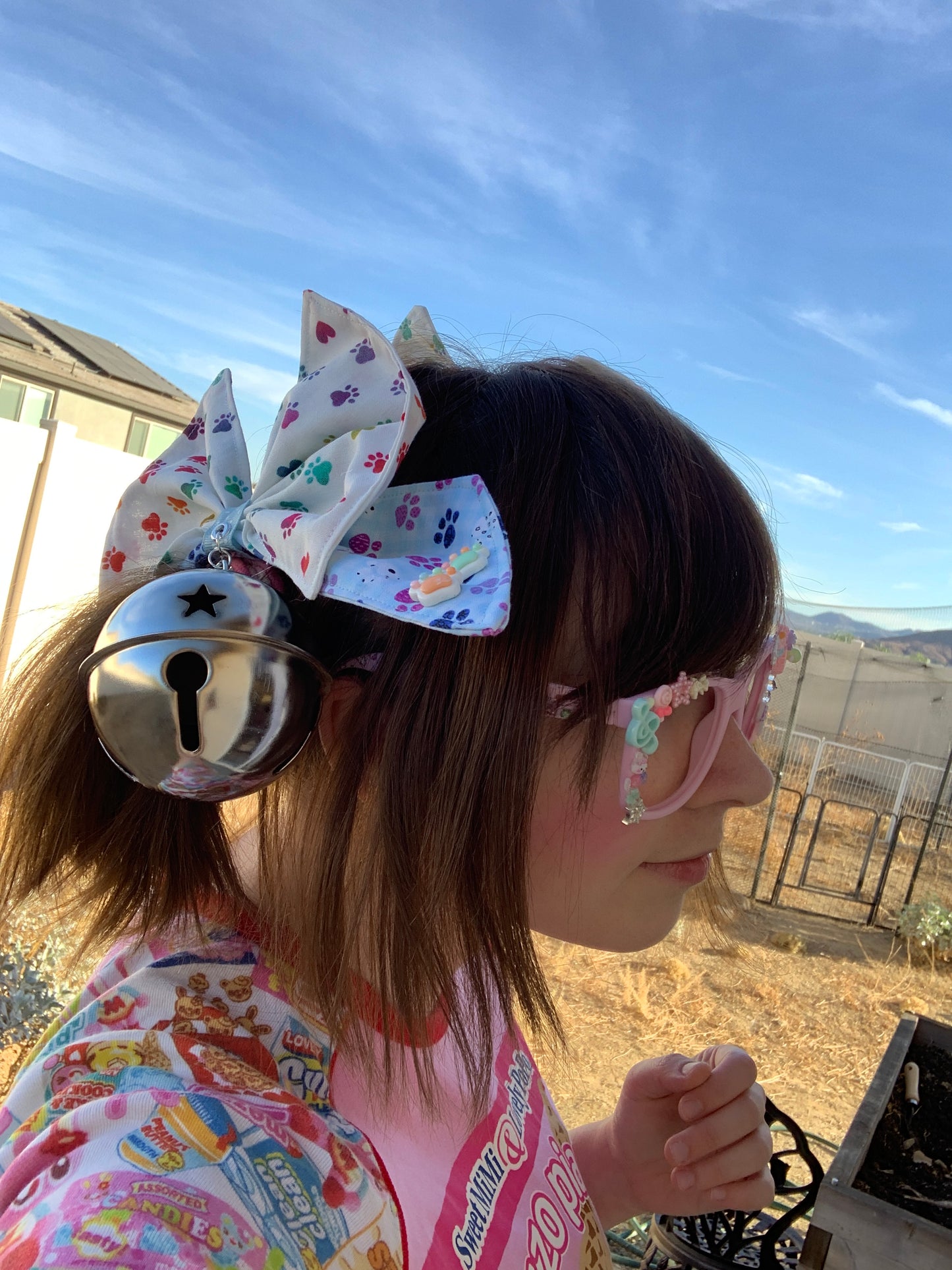 Rainbow Paw Giant Bell Twintail Clips