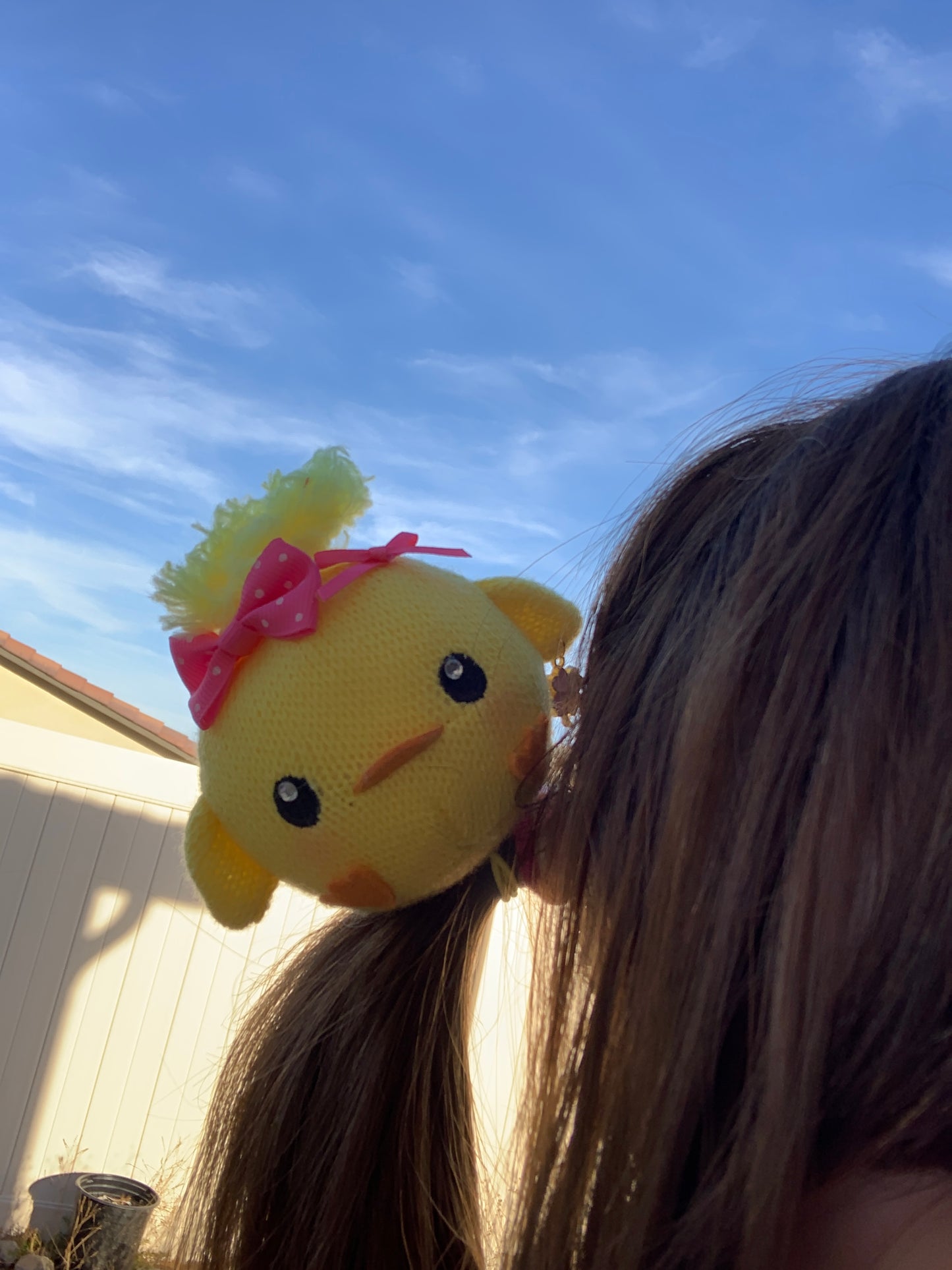 Pipipi Plushy Hairties