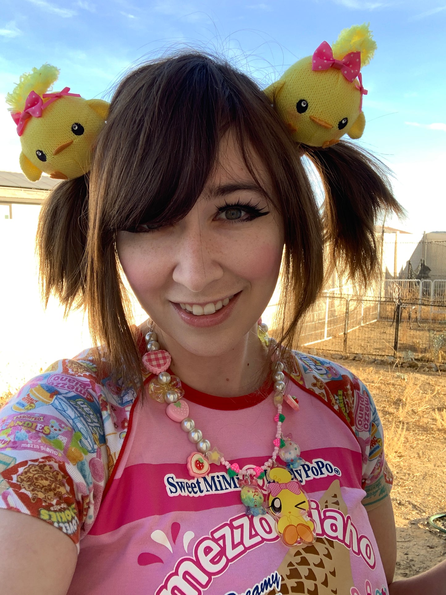 Pipipi Plushy Hairties